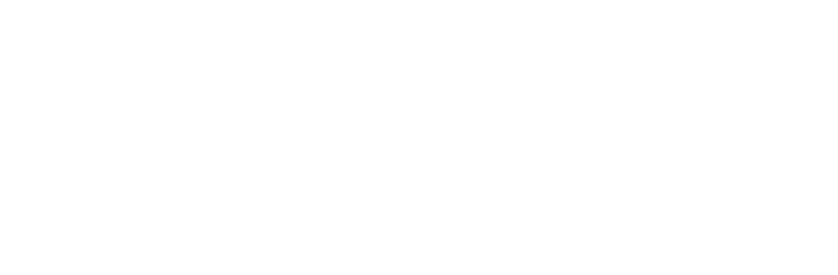 Logo Aula virtual nextbyn